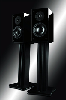 SWANS D2.1 HighEnd-Luidspreker