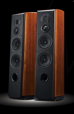Swans M6, High End Lautsprecher