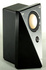 Swans T200, 2-Wege Monitor